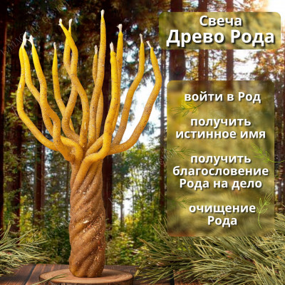 Свеча "Древо Рода"